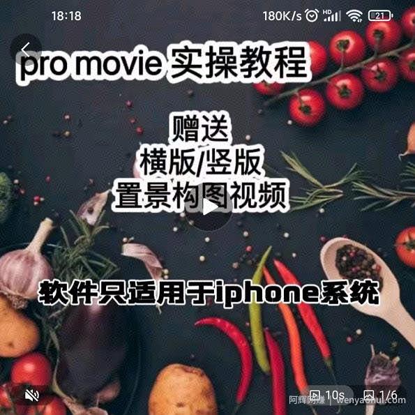漆十二美食摄影，25​节promovie实操高手课节