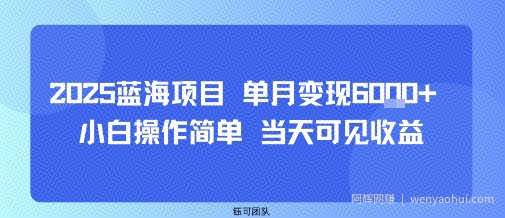 2025蓝海项目 单月变现6k+ 小白操作简单 当天可见收益