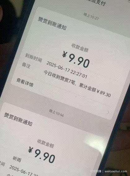 二次元男粉快速变现项目，私域卖虚拟产品，百分利润
