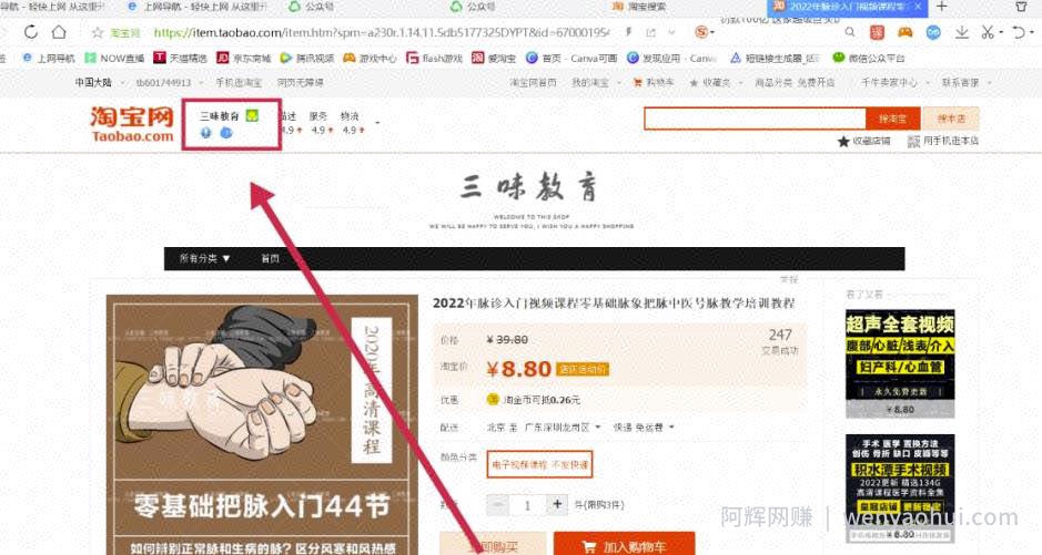 淘宝蓝海虚拟项目，单店日收益300+，实操分享