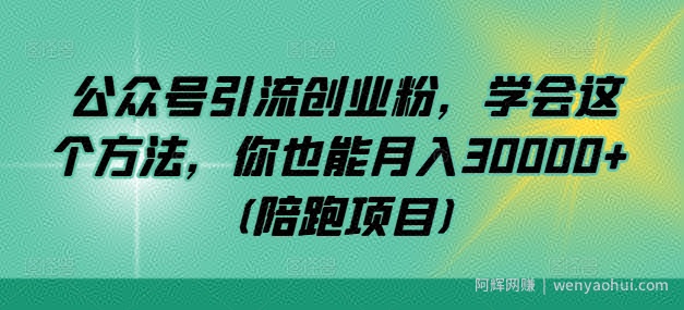公众号引流创业粉，学会这个方法，你也能月入30000+ (陪跑项目)