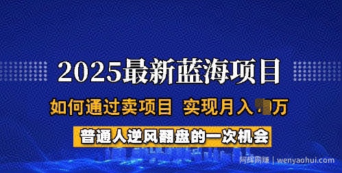 2025蓝海项目,普通人如何通过卖项目,实现月入过W,全过程【揭秘】