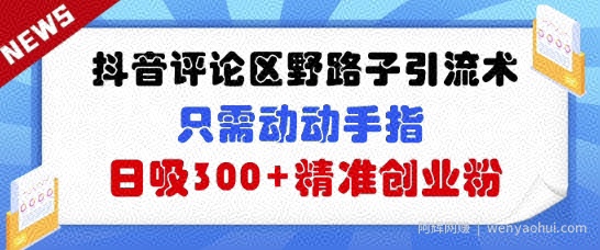 抖音评论区野路子引流术，只需动动手指，日吸300+精准创业粉