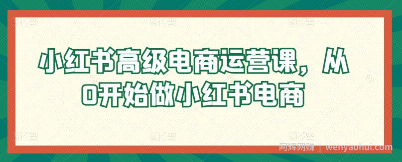 小红书高级电商运营课,从0开始做小红书电商