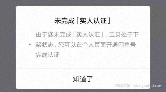 新手操作闲鱼项目，避雷指南请查收