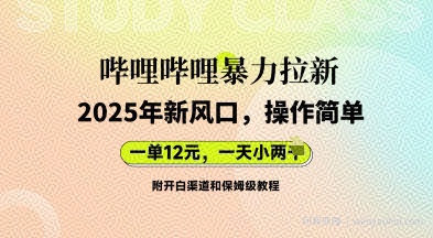 哔哩哔哩暴力拉新：2025年新风口，一单12元，一天数张(附开白渠道和保姆级教程)