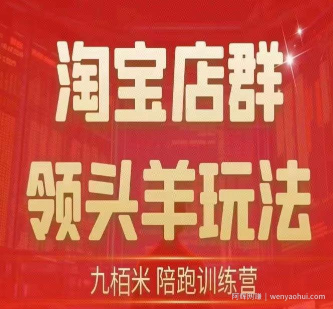 九栢米-淘宝店群领头羊玩法，教你整个淘宝店群领头羊玩法以及精细化/终极蓝海/尾销等内容