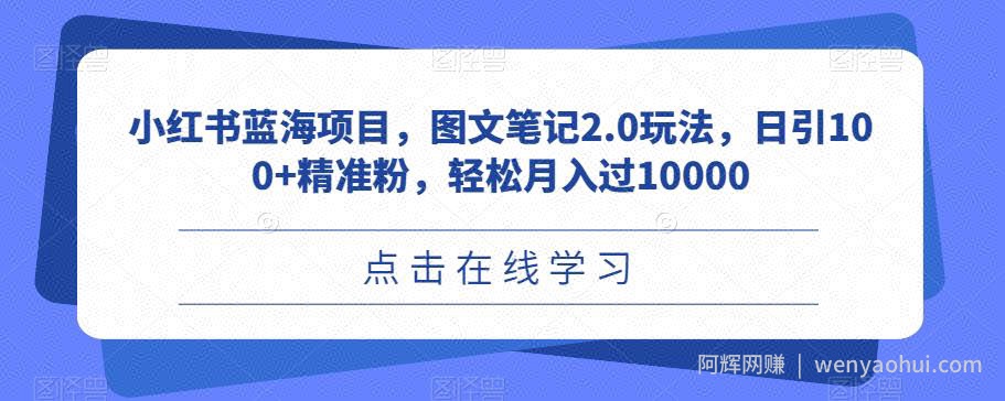 小红书蓝海项目，图文笔记2.0玩法，日引100+精准粉，轻松月入过10000【揭秘】