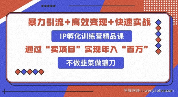 知识付费独家玩法：精准引流+高效变现，简单复制成功模式，最新IP共创导师训练营玩法