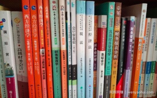 副业搬砖小项目，新手实操每天净赚200+