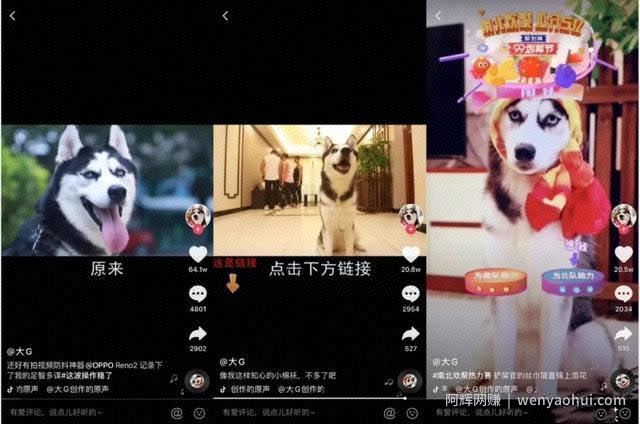 分析完1000个典型案例，告诉你宠物账号都靠什么发财