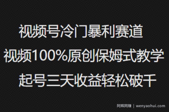视频号冷门暴利赛道视频100%原创保姆式教学起号三天收益轻松破千