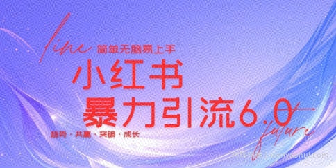 最新小红书暴力引流私域玩法，日引200+兼zhi粉，简单无脑操作