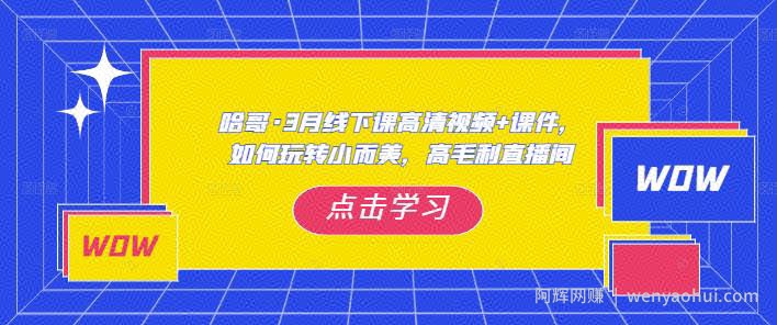 哈哥·3月线下实操课高清视频+课件，如何玩转小而美，高毛利直播间