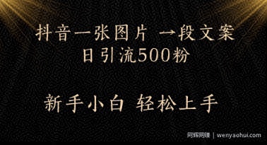 每天2分钟，抖音一张图片 一段文案日引流500粉