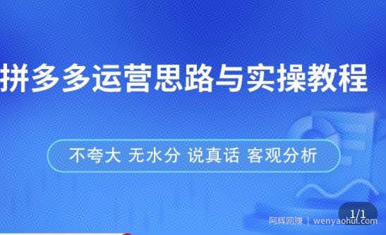 拼多多店铺运营思路与实操教程，快速学会拼多多开店和运营，少踩坑，多盈利