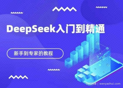 DeepSeek快速从入门到精通，新手的保姆级教程