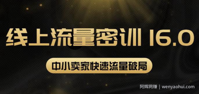 2022秋秋线上流量密训16.0：包含暴力引流10W+中小卖家流量破局技巧等等