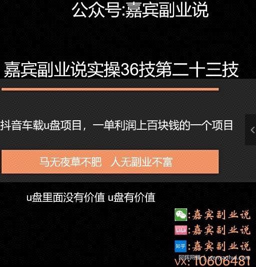 嘉宾副业说实操36技第二十三技：抖音车载u盘项目，一旦利润上百块的项目