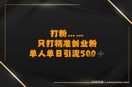 打粉只打精准创业粉，单人单日引流500+