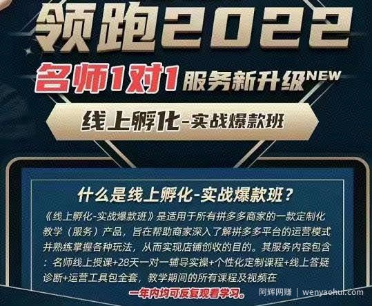 牛气学堂老陶电商【第9期】，拼多多名师线上领跑28天，线上孵化-实战爆款班