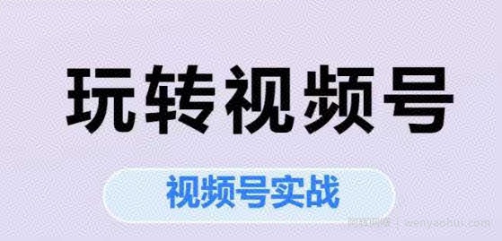 玩转视频号,视频号实战系列课