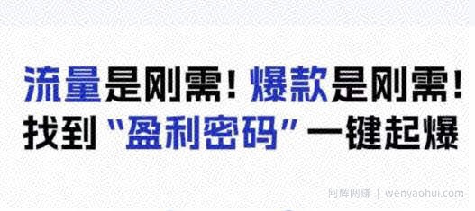 电商盈利精品课：6大盈利密码让产品更好卖，流量是刚需！爆款是刚需！找到