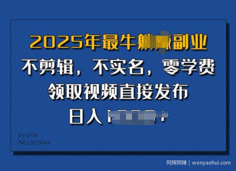 ​2025年最牛副业，不剪辑，不实名，零学费，零粉可做，领取视频直接发布，有播放就有收益