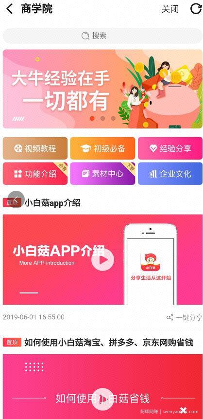 如何0投入月入过万， 小白菇APP绝对不能错过的创业项目