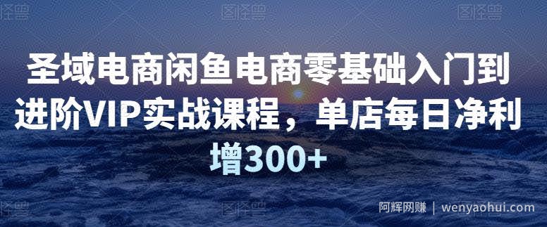 圣域电商闲鱼电商零基础入门到进阶VIP实战课程，单店每日净利增300+