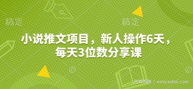 小说推文项目，新人操作6天，每天3位数分享课