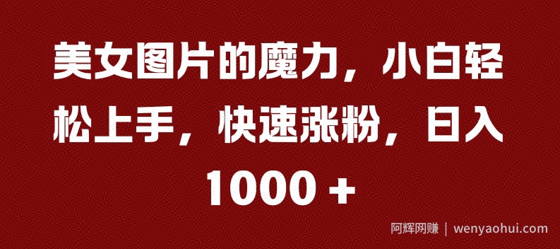 美女图片的魔力，小白轻松上手，快速涨粉，日入几张【揭秘】