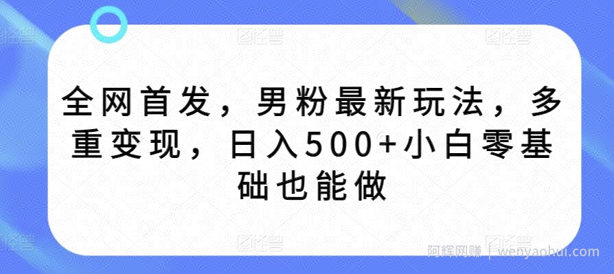 全网首发，男粉最新玩法，多重变现，日入500+小白零基础也能做