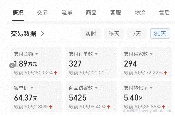 拼多多虚拟U盘电商红利项目：月赚2万+，新手小白也能玩