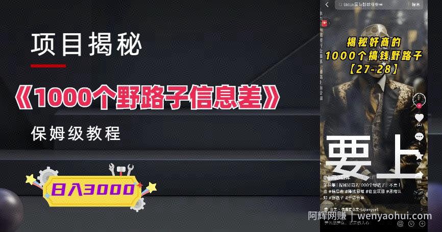 1000个野路子信息差保姆式教程-单日变现3000+的玩法解密