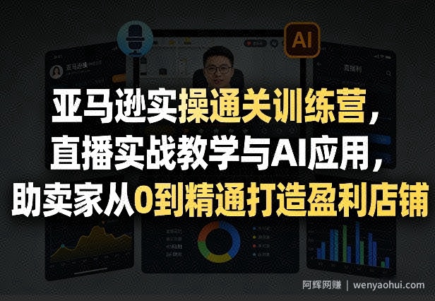 亚马逊实操通关训练营，直播实战教学与AI应用，助卖家从0到精通打造盈利店铺（更新7月3日）