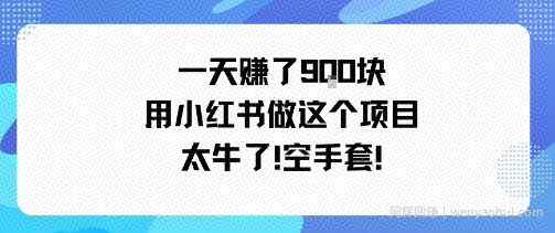 一天挣了9张用小红书做这个项目太牛了，空手套
