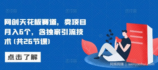 网创天花板赛道，卖项目月入6个，含独家引流技术(共26节课)