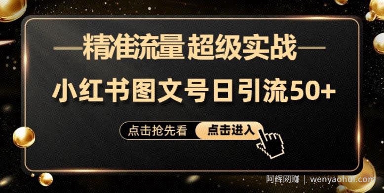 日引50+精准流量，小红书图文号，超级实战的小红书引流课，适合新手小白的项目