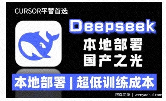 2025年deepseek R1 大型模型本地安装部署(文件+教程)本地部署，超低训练成本
