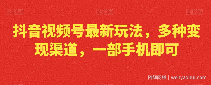 抖音视频号最新玩法，多种变现渠道，一部手机即可