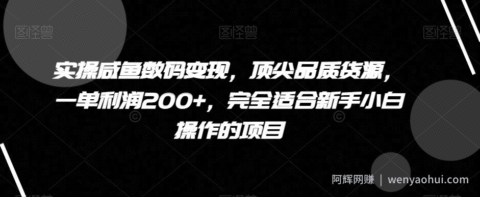 实操咸鱼数码变现，顶尖品质货源，一单利润200+，完全适合新手小白操作的项目【揭秘】