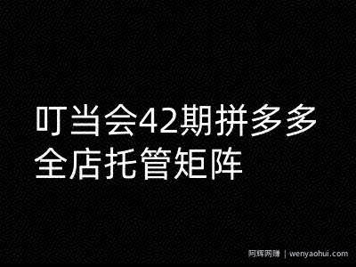叮当会拼多多打爆班原创高阶技术第42期，拼多多全店托管矩阵