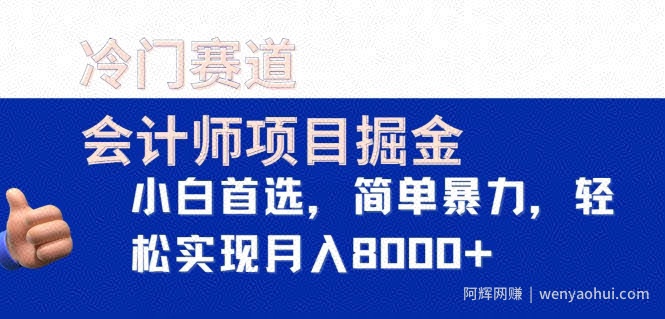 冷门赛道，会计师项目掘金，小白首选，简单暴力，轻松实现月入8000+