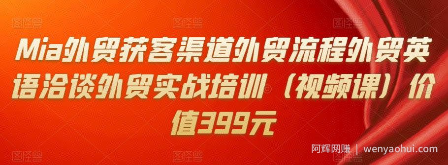 Mia外贸获客渠道外贸流程外贸英语洽谈外贸实战培训（视频课）价值399元
