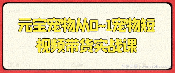 元宝宠物从0~1宠物短视频带货实战课