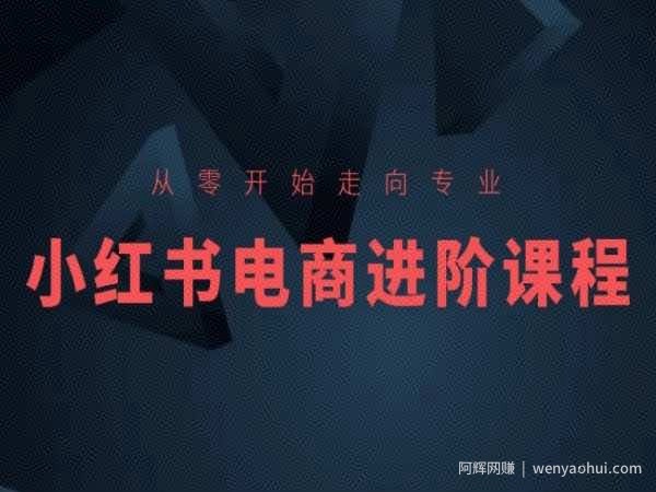 从零开始走向专业，小红书电商进阶课程