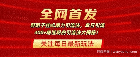 全网首发，野路子暴力引流法，单日引流400+精准粉的引流法大揭秘