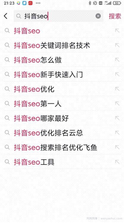 布局抖音SEO蓝海市场，让搜索流量暴涨