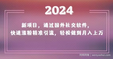 2024新项目，通过国外社交软件，快速涨粉精准引流，轻松做到月入上万【揭秘】